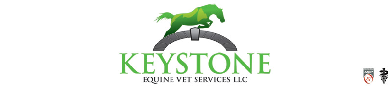 Keystone Veterinary Services Logo